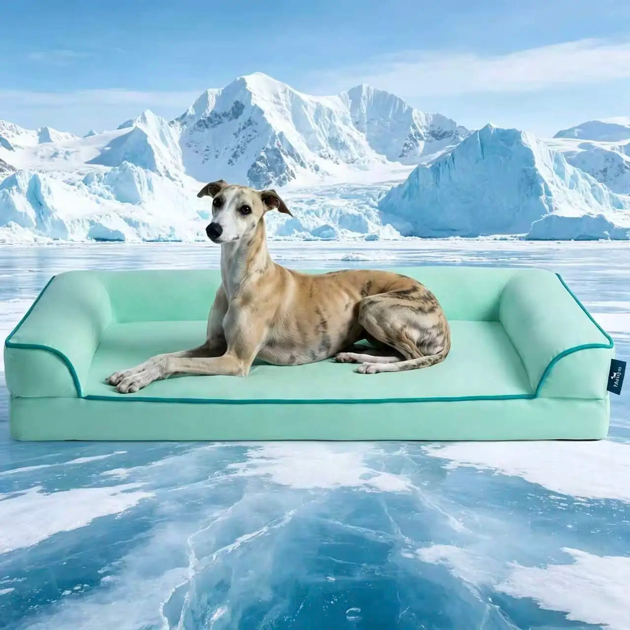 Blunique Cooling Orthopedic Pet Bed for Dogs & Cats, Waterproof Egg Crate Foam Dog Mat & C-Shaped Sofa Bed, Q-Max 4.0 Cooling Fabric, Washable & Dryer Safe Summer Pet Bed for Small & Large Dogs
