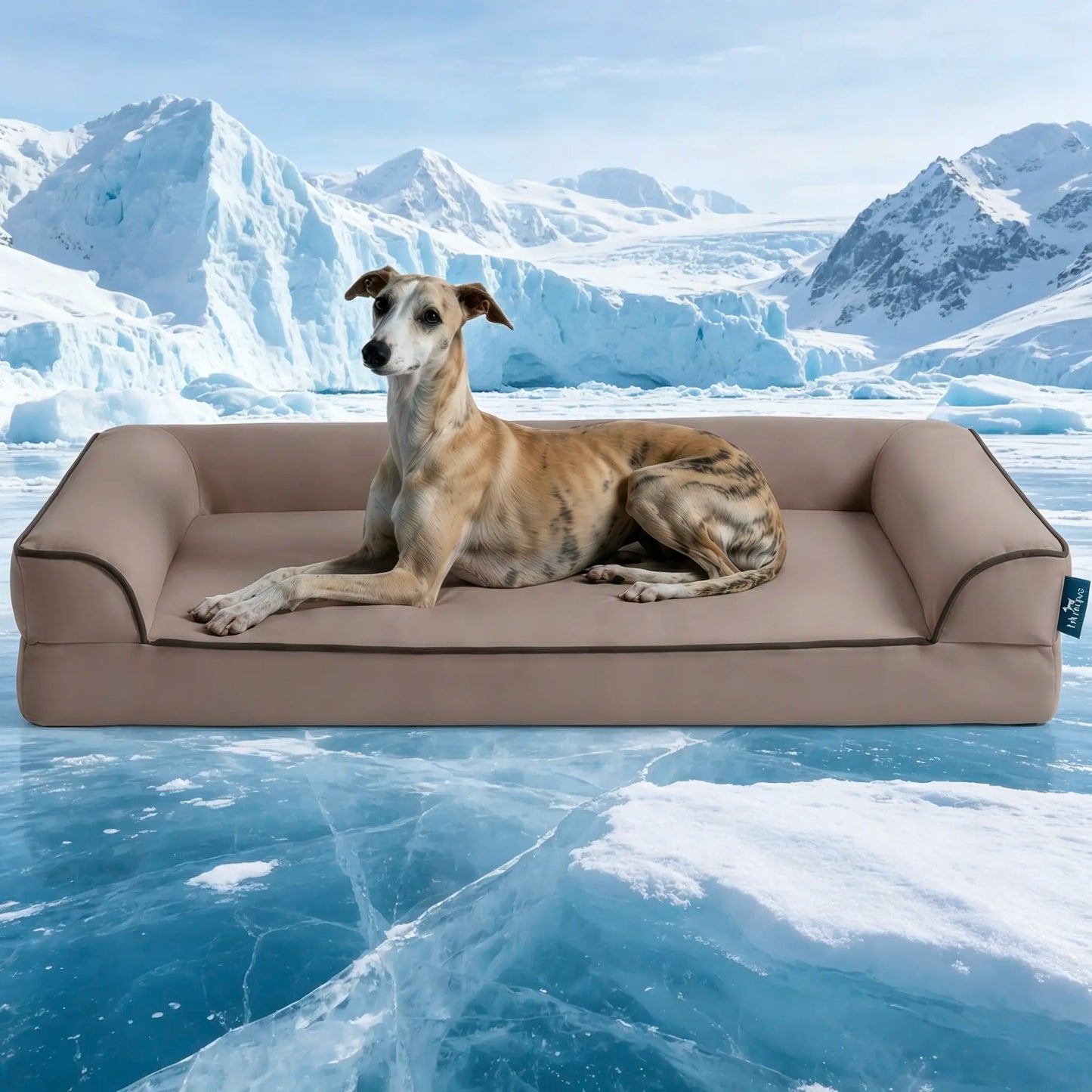 Blunique Cooling Orthopedic Pet Bed for Dogs & Cats, Waterproof Egg Crate Foam Dog Mat & C-Shaped Sofa Bed, Q-Max 4.0 Cooling Fabric, Washable & Dryer Safe Summer Pet Bed for Small & Large Dogs