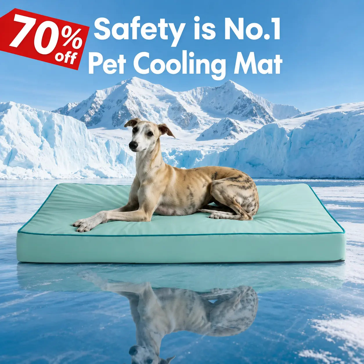 Blunique Cooling Orthopedic Pet Bed for Dogs & Cats, Waterproof Egg Crate Foam Dog Mat & C-Shaped Sofa Bed, Q-Max 4.0 Cooling Fabric, Washable & Dryer Safe Summer Pet Bed for Small & Large Dogs